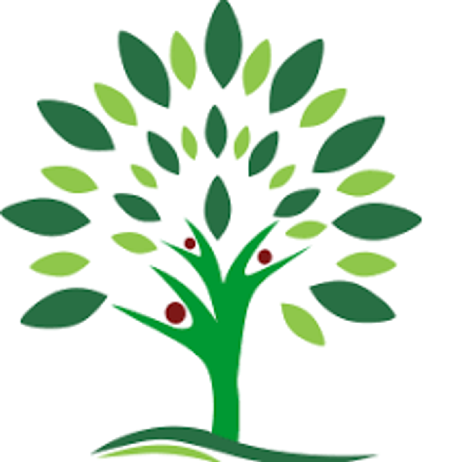 Apple Tree Propert Maintenace.png